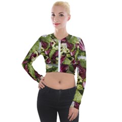 Salad Lettuce Vegetable Long Sleeve Cropped Velvet Jacket by Sapixe