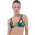 Colors Patterns Scales Geometry Ring Detail Bikini Top View1