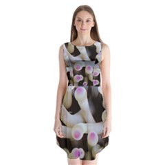 Sea Anemone Sleeveless Chiffon Dress   by TheLazyPineapple