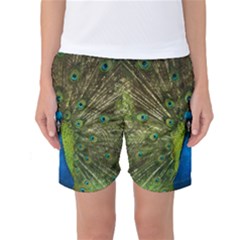 Peacock Feathers Bird Nature Women s Basketball Shorts by Vaneshart