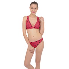 Seamless Watermelon Surface Texture Classic Banded Bikini Set  by Nexatart