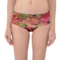 Spring Leafs Mid-waist Bikini Bottoms by Sparkle