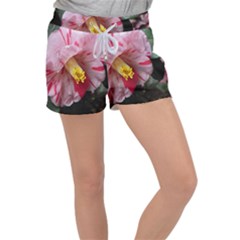 Striped Pink Camellia Ii Velour Lounge Shorts by okhismakingart