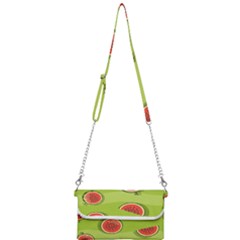 Seamless Background With Watermelon Slices Mini Crossbody Handbag by BangZart