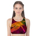 Dragonflies Abstract Colorful Pattern Tank Bikini Top View1