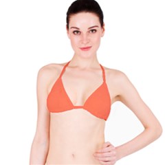 Appreciating Apricot Bikini Top by Janetaudreywilson