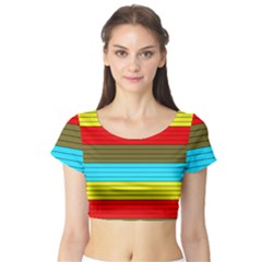 Multicolor With Black Lines Short Sleeve Crop Top by tmsartbazaar