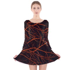 Dark Forest Scene Print Long Sleeve Velvet Skater Dress by dflcprintsclothing