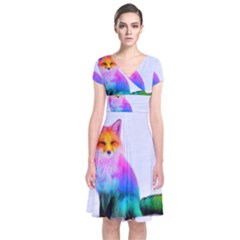 Rainbowfox Short Sleeve Front Wrap Dress by Sparkle