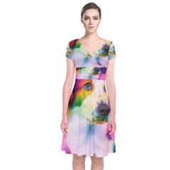 Rainbowdog Short Sleeve Front Wrap Dress by Sparkle