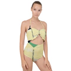 Jamaica, Jamaica  Scallop Top Cut Out Swimsuit by Janetaudreywilson