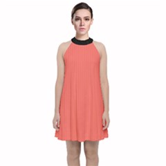 Living Coral - Velvet Halter Neckline Dress  by FashionLane