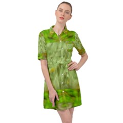 Landscape In A Green Structural Habitat Ornate Belted Shirt Dress by pepitasart