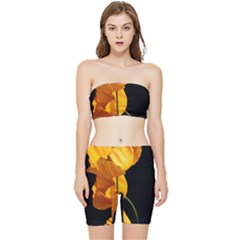 Yellow Poppies Stretch Shorts And Tube Top Set by Audy