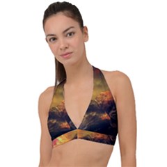 Tiger King In A Fantastic Landscape From Fonebook Halter Plunge Bikini Top by 2853937