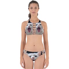 Wow Kitty Cat From Fonebook Perfectly Cut Out Bikini Set by 2853937