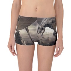 Lord Of The Dragons From Fonebook Boyleg Bikini Bottoms by 2853937