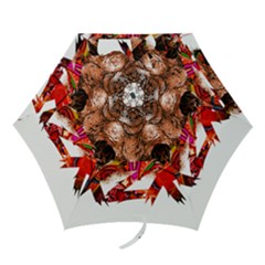 Xzk8 Mini Folding Umbrellas by XzoticKingdom4U