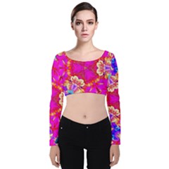 Newdesign Velvet Long Sleeve Crop Top by LW41021