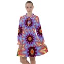 Passion Flower All Frills Chiffon Dress View1