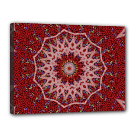 Redyarn Canvas 16  X 12  (stretched) by LW323