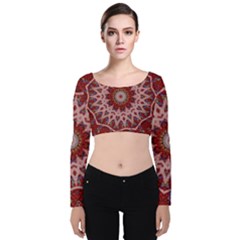 Redyarn Velvet Long Sleeve Crop Top by LW323