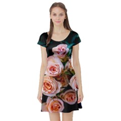 Sweet Roses Short Sleeve Skater Dress by LW323