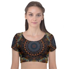 Victory Velvet Short Sleeve Crop Top  by LW323