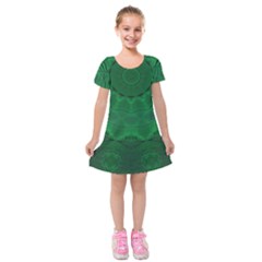 Freshspring1 Kids  Short Sleeve Velvet Dress by LW323