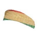 Braid-3232366 960 720 Stretchable Headband View1