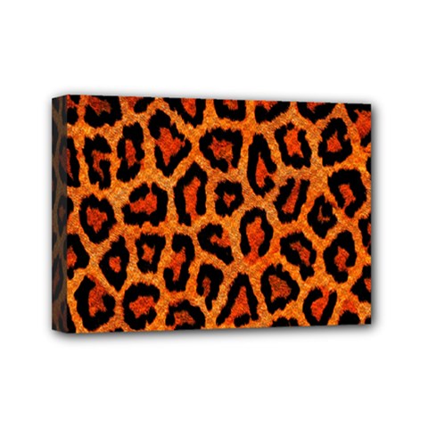 Leopard-print 3 Mini Canvas 7  X 5  (stretched) by skindeep