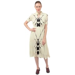 Banded Alder Borer  Keyhole Neckline Chiffon Dress by Limerence