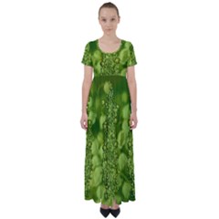 Green Fresh  Lilies Of The Valley The Return Of Happiness So Decorative High Waist Short Sleeve Maxi Dress by pepitasart