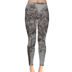 Big Tree Photo Illustration Inside Out Leggings by dflcprintsclothing