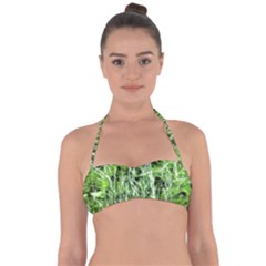 Green Desire Halter Bandeau Bikini Top by DimitriosArt