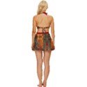 Red Abbey Abstract Animal Print Vintage Style Bikini Top and Skirt Set  View4