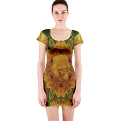 Tropical Spring Rose Flowers In A Good Mood Decorative Short Sleeve Bodycon Dress by pepitasart