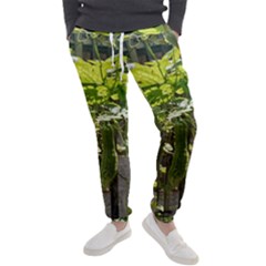 Bitter Melon Men s Jogger Sweatpants by artworkshop