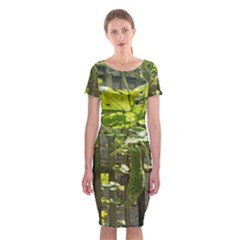 Bitter Melon Classic Short Sleeve Midi Dress by artworkshop