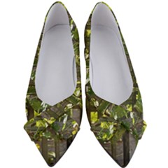 Bitter Melon Women s Bow Heels by artworkshop
