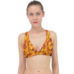 Fall Classic Banded Bikini Top by artworkshop