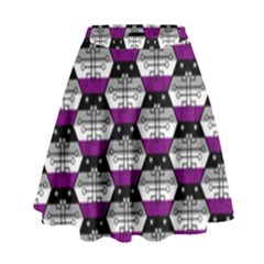 Hackers Town Void Mantis Hexagon Asexual Ace Pride Flag High Waist Skirt by WetdryvacsLair