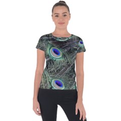 Plumage Peacock Feather Colorful Short Sleeve Sports Top  by Sapixe