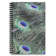 Plumage Peacock Feather Colorful 5 5  X 8 5  Notebook by Sapixe