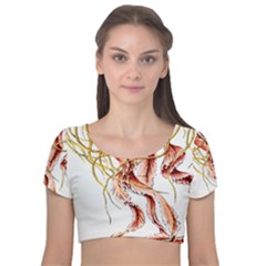 Animal Art Forms In Nature Jellyfish Velvet Short Sleeve Crop Top  by Sapixe