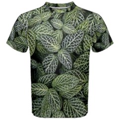 Leaves Foliage Botany Plant Men s Cotton Tee by Ravend