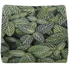 Leaves Foliage Botany Plant Seat Cushion by Ravend