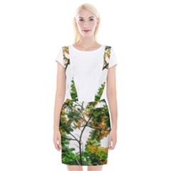 Tree Sunlight Forest Nature Landscape Sunrise Fog Braces Suspender Skirt by danenraven