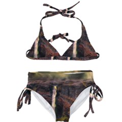 Waterfall Cascade Mountains Cliffs Northern Lights Kids  Classic Bikini Set by danenraven