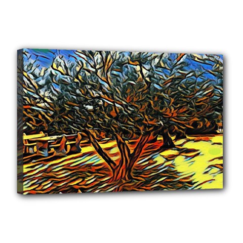 Colorful Verona Olive Tree Canvas 18  X 12  (stretched) by ConteMonfrey